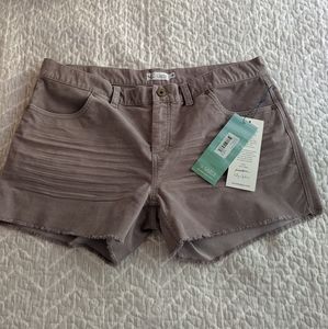 Carve Design Stone Shorts